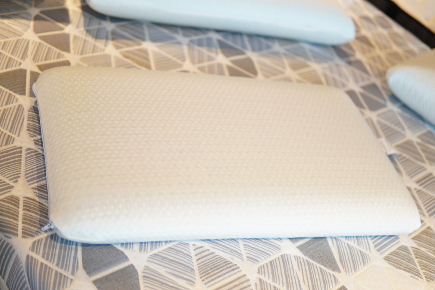 Avanti PurEucalyptus Pillow