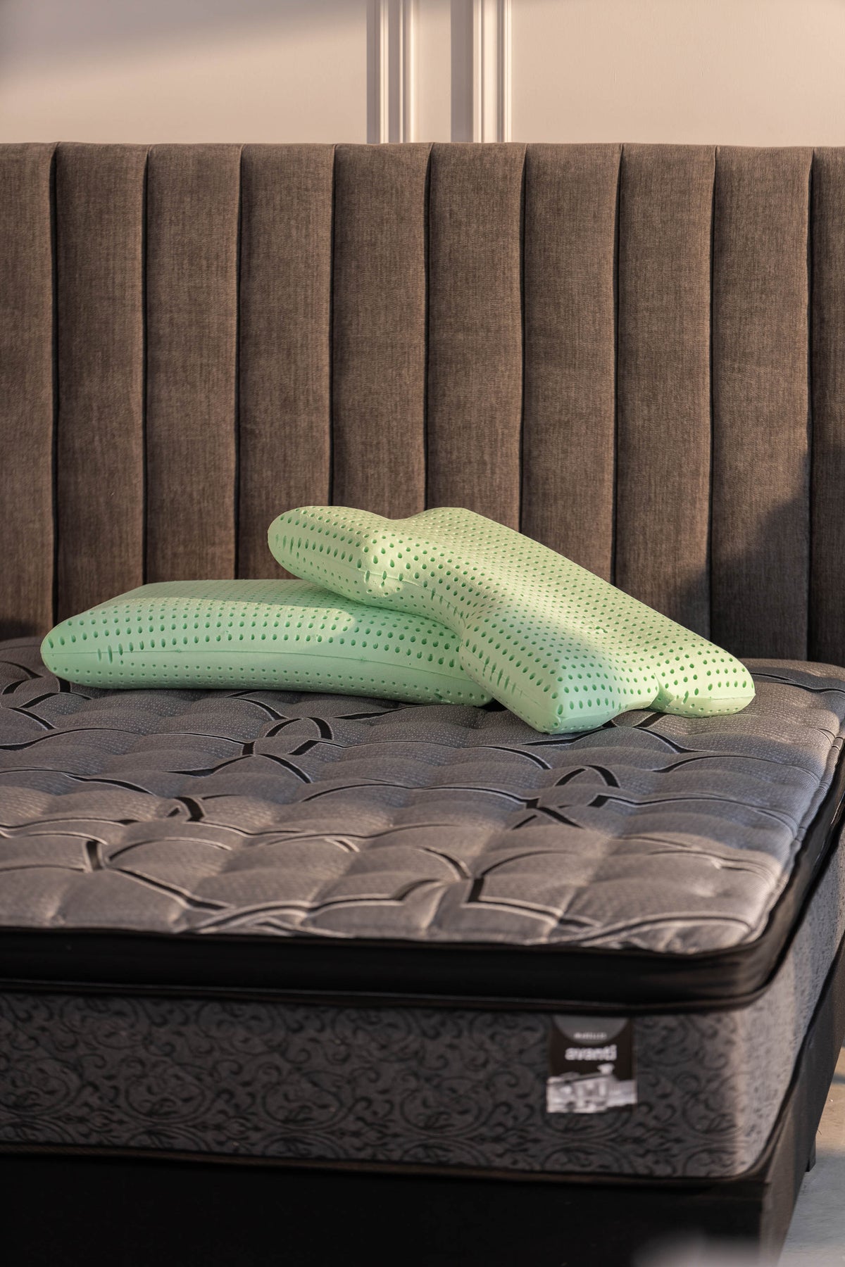 Avanti PurEucalyptus Neck Pillow