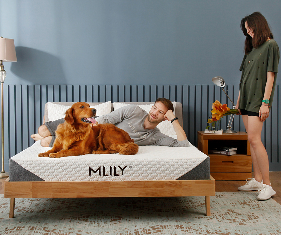 Mlily Reserve+ Mattress | Mattress in Box