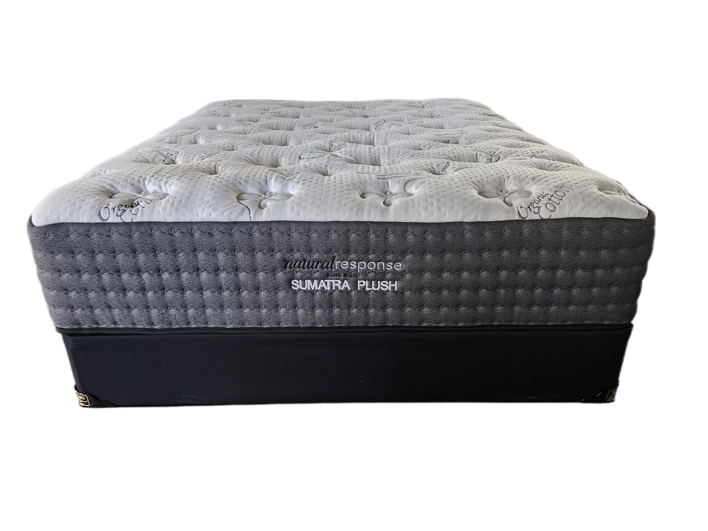 King Koil Sumatra Plush Tight Top Mattress