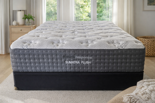 King Koil Sumatra Plush Tight Top Mattress
