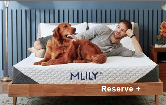 Mlily Reserve+ Mattress | Mattress in Box