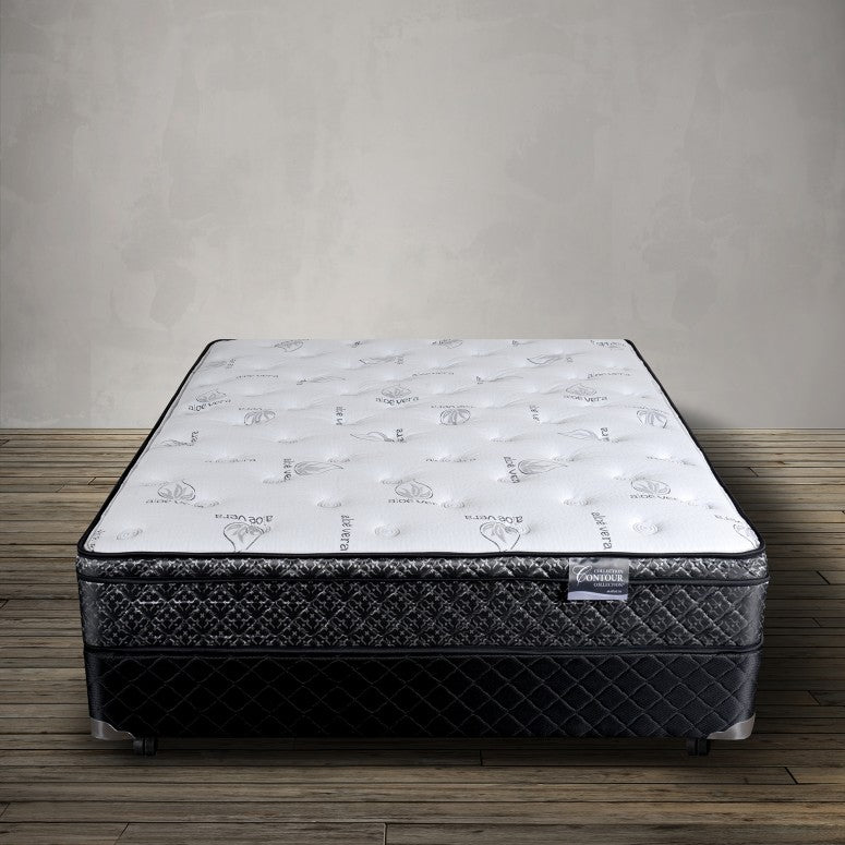 Spring Air Cardita Firm Euro Top Mattress